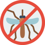 no mosquito