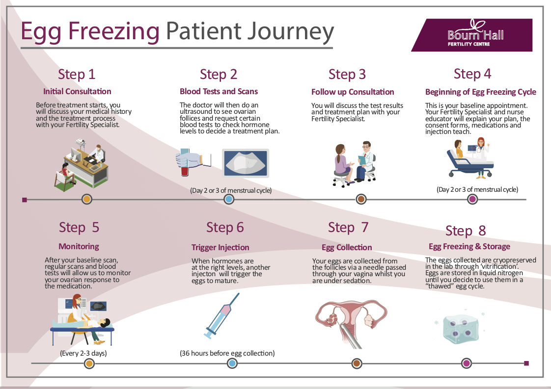 Can egg freezing crack Singapore's demographic decline?